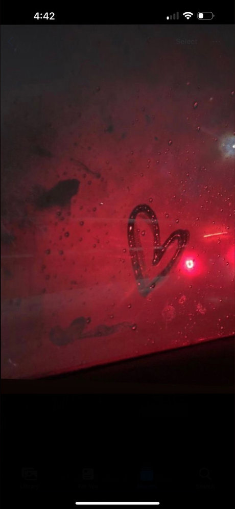 haliiiegh_ beautiful actress archive