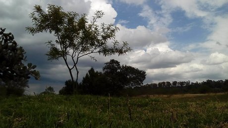 _lr n exclusive pornstar archive