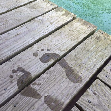 Miss Piggy s_ hd model pics