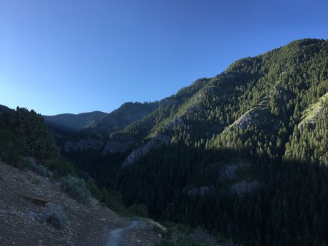 Jason Gamble pretty model image