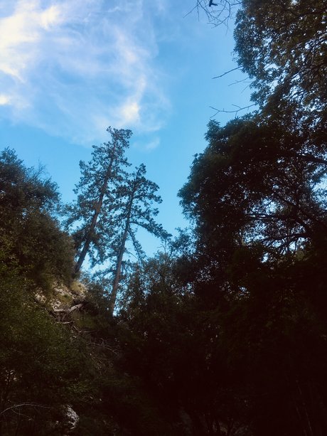 Thickdickmvn pornstar sexy images