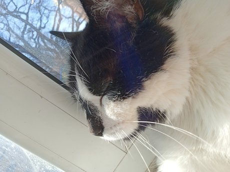 Theo Elina model sexy pics