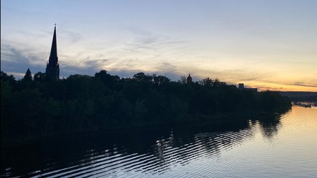 The East Coast Pup star nudes archive