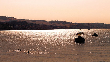 fat ass onlyfans hot sexy pic