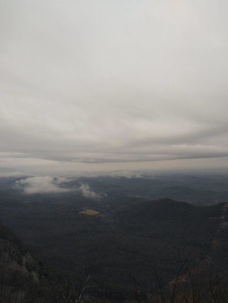 Cleaves Leder top model pics