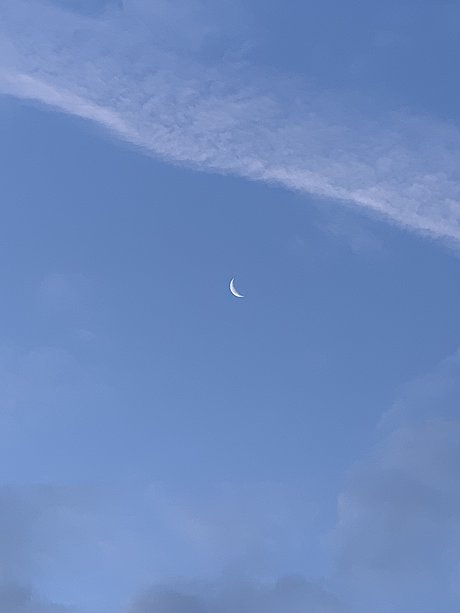 Althea_ best actress galleries