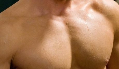 El Mayo model hd archive