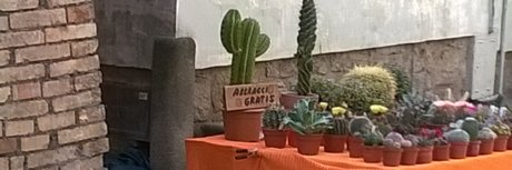 Yuri Crispi best star pictures