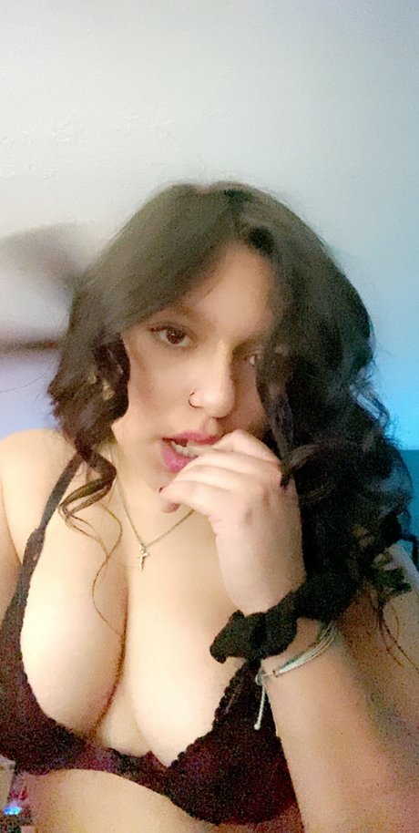 Z S hot model picture