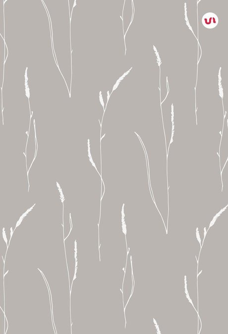 Gracie Lynn No PPV_ xxx star galleries