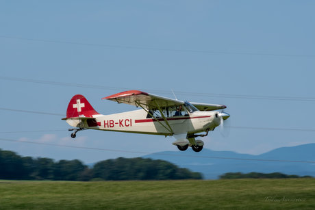 Benjamin B TridensPicturae star perfect galleries