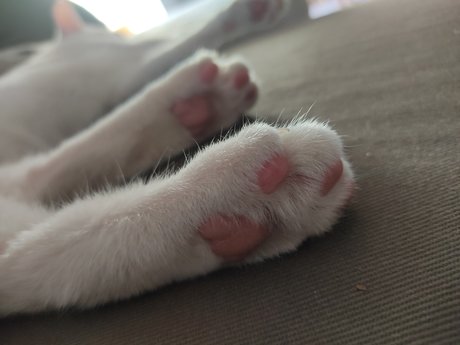 Ana Oliveros nudes star pic