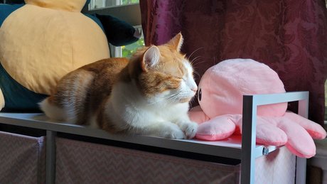 Zeus Lightning_ pornstar nude photo