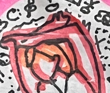 AkA Durahell top star gallery