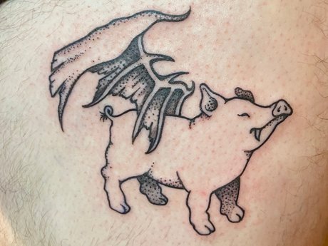 The Inked Pig star art photos