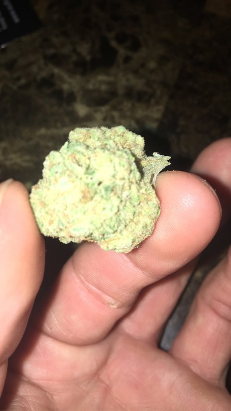 Chief E pretty model img