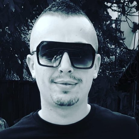 Silviu Zota best star galleries