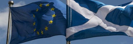 Holger FBPE_ hd model picture