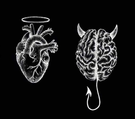 La colora_ model free photo