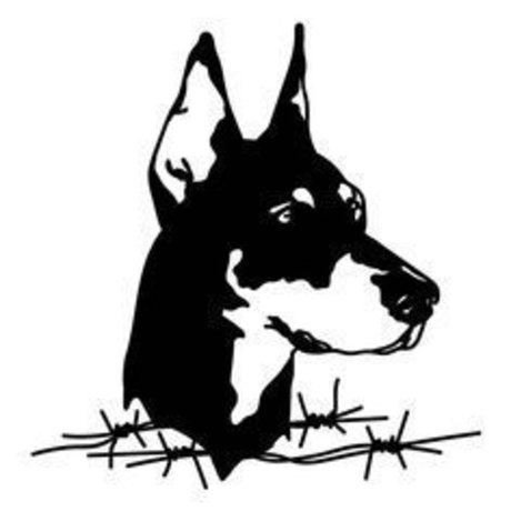 OFMANAGMENT amp amp MARKETING_ porn model photo