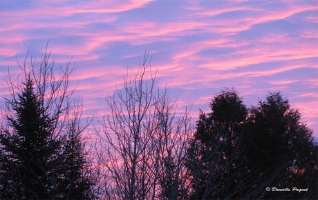 gayboy best actress images