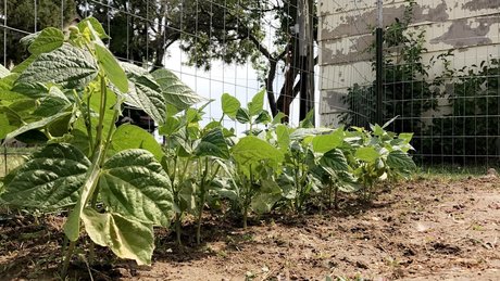 Kora Ellen model archive