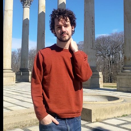 Finley Red art star galleries