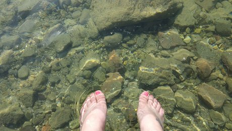 Fancy Free nice model img