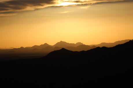 Sophie Lauren pornographic actress pics