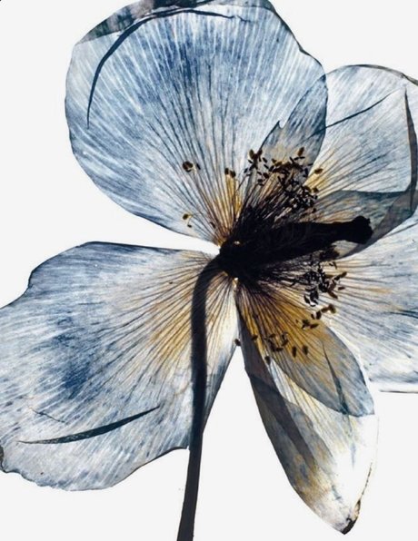 friday grl_ model porn images