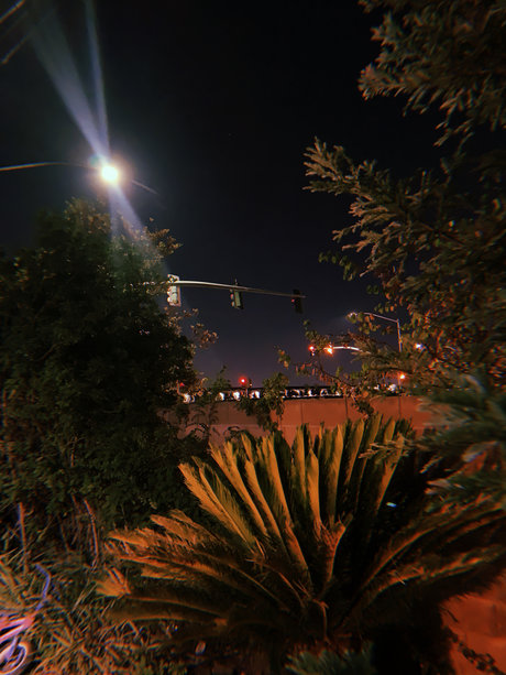 life uck_ xxx pornstar gallery