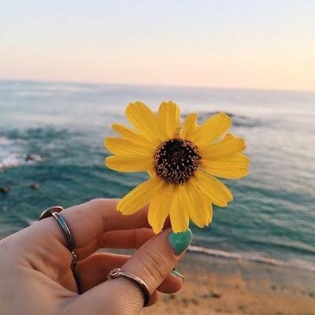 Karen lima star art archive