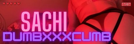 Sachi Dumb Cxmb erotic star archive