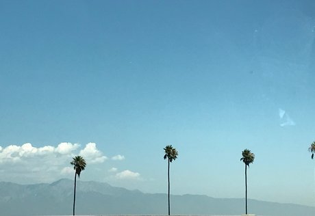 Nurse Stat perfect star gallery