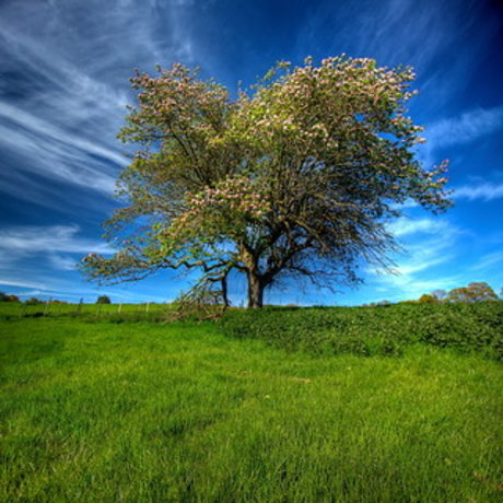 Lucifer amp amp Eve pornstar high quality image