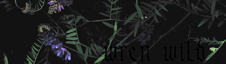 Wren Wild star art photos