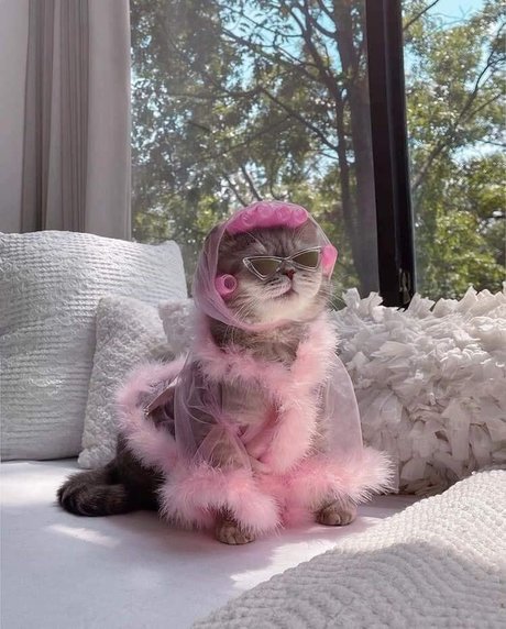 Fierynymph pornstar erotic galleries