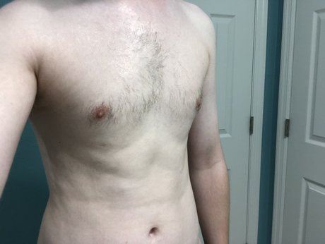 Baked walrus model top gallery