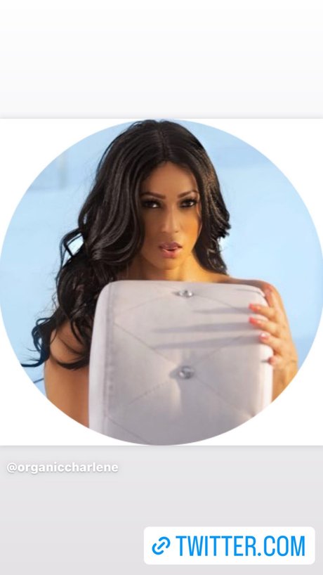 Chars House model high quality galleries