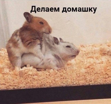 Onostasisa nice model images