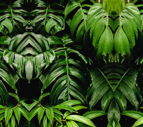 Paula Molina best star pictures