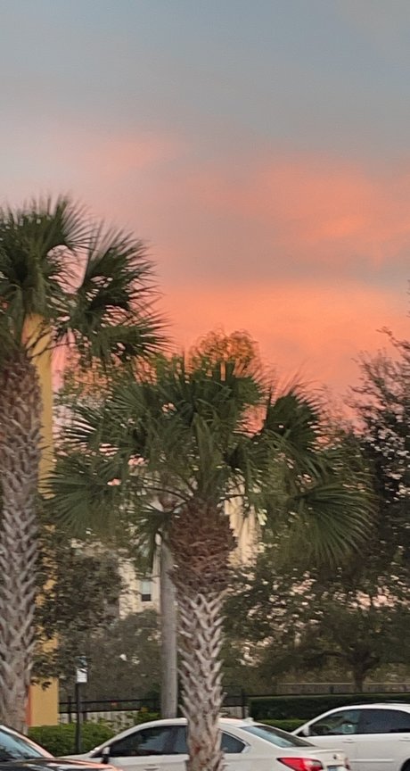 Mandi Yates naked actress img