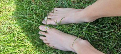 Locia star art galleries