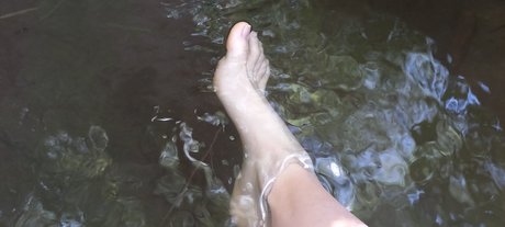 Locia star free image