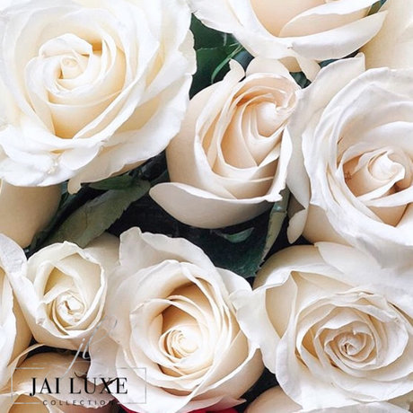 Kiyani J star nice archive