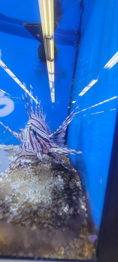 Contractor hot model gallery