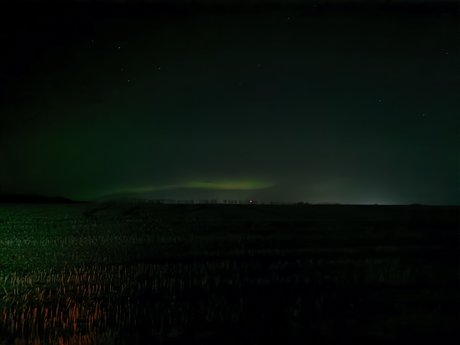 WolfeMan nice pornstar photo