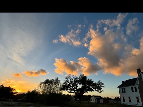 _Queen Ari_ star xxx images