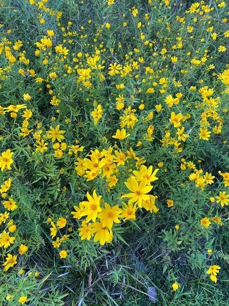 Joe Nathan model hd gallery