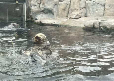 20 years old onlyfans pornos photos